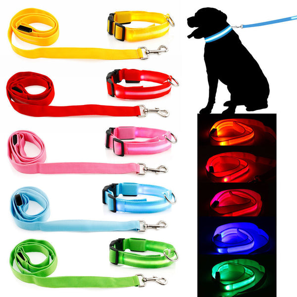 Nighttime Safety LED Dog Leash